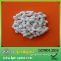 Best Selling Laboratory White Ptfe Coated Magnetic Capsule